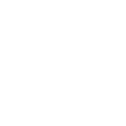 Gracie Jiu-Jitsu Phoenix Logo