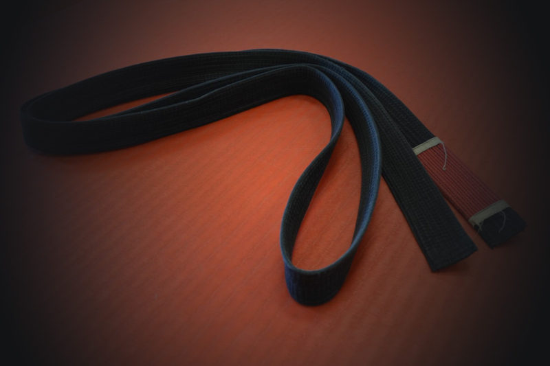 The Gracie JiuJitsu Belt System Gracie JiuJitsu Phoenix