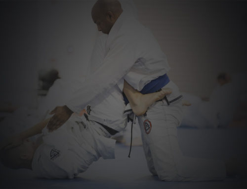Gracie Master Cycle Training Videos