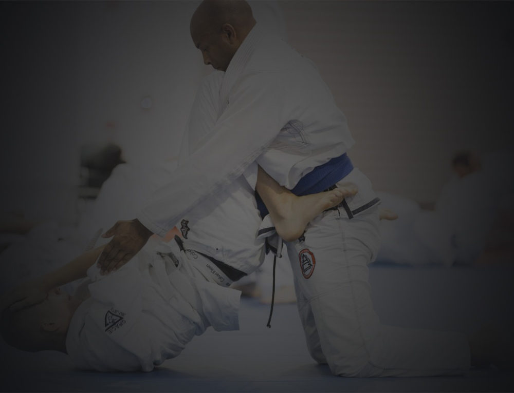The Gracie JiuJitsu Belt System Gracie JiuJitsu Phoenix